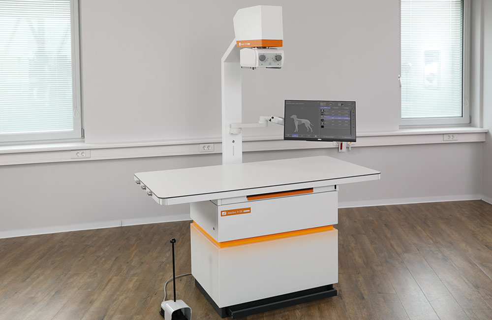 Amadeo V mini II