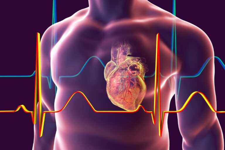 Das EKG misst die elektrische Aktivität des Herzens.